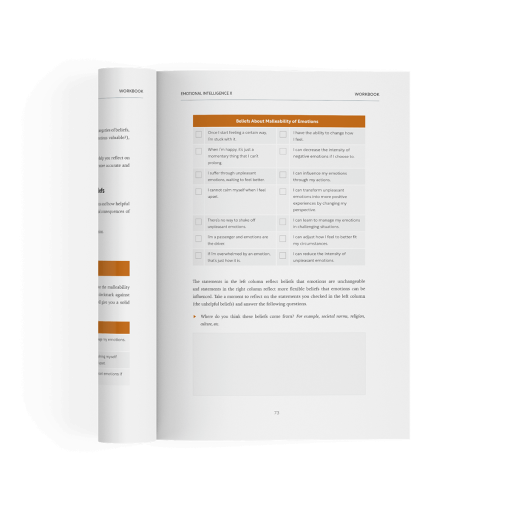 Emotional Intelligence Coaching Manuals - Image 7